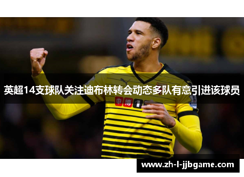 英超14支球队关注迪布林转会动态多队有意引进该球员 英超14支球队关注迪布林转会动态多队有意引进该球员